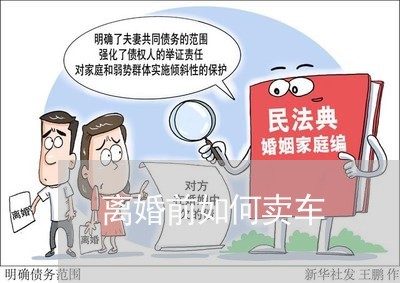 离婚前如何卖车/2023121529251