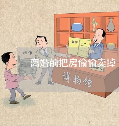 离婚前把房偷偷卖掉/2023110280507