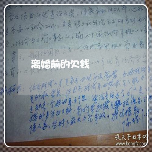 离婚前的欠钱/2023100808140