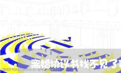 离婚协议书找不见了可以补吗/2023111872614