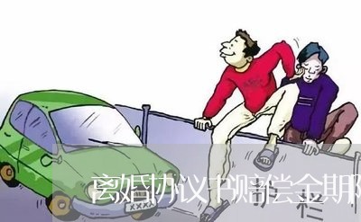 离婚协议书赔偿金期限/2023111897837