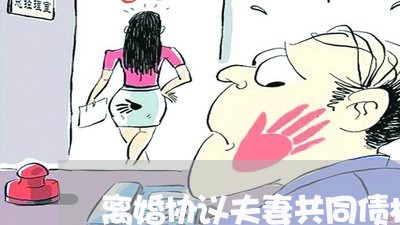 离婚协议夫妻共同债权/2023111817258