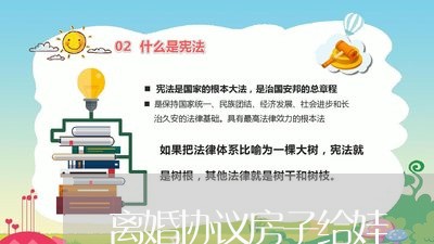 离婚协议房子给娃/2023111883613