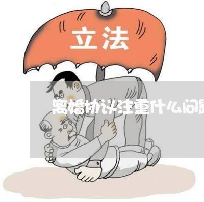 离婚协议注重什么问题呢/2023111863803