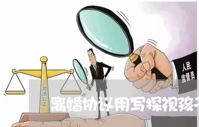 离婚协议用写探视孩子吗/2023111863694