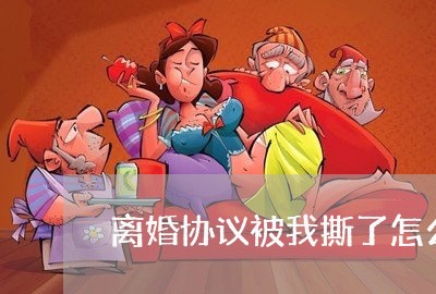 离婚协议被我撕了怎么办/2023111779293