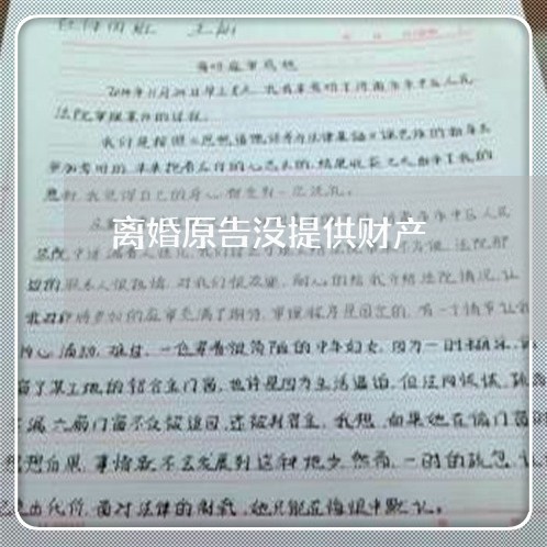 离婚原告没提供财产/2023110600404