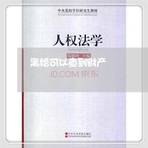 离婚可以查到财产/2023100261942