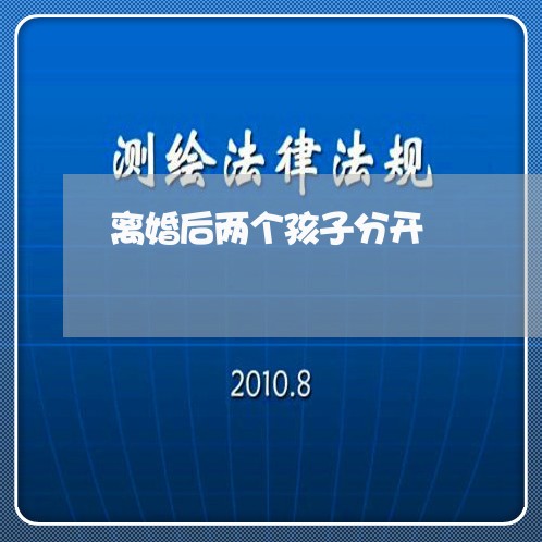 离婚后两个孩子分开/2023110410702