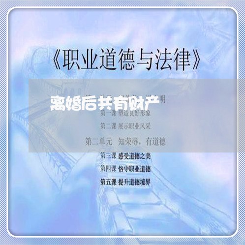 离婚后共有财产/2023090695928