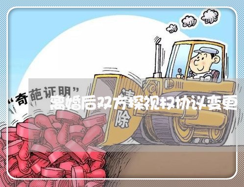 离婚后双方探视权协议变更/2023111720603