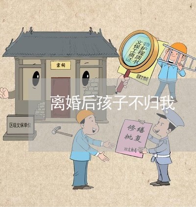 离婚后孩子不归我/2023100184148