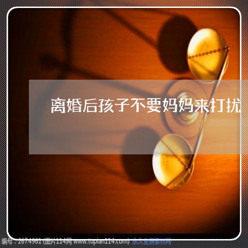 离婚后孩子不要妈妈来打扰/2023111716140