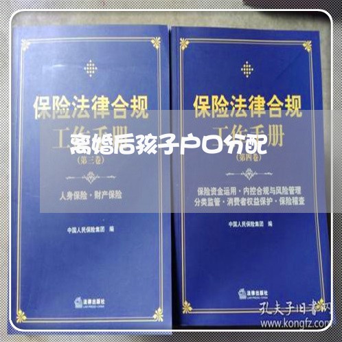 离婚后孩子户口分配/2023110281713