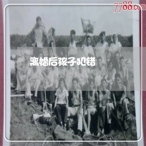 离婚后孩子犯错/2023121972715