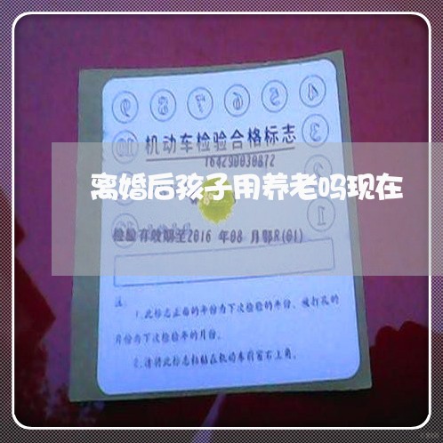 离婚后孩子用养老吗现在/2023111741505