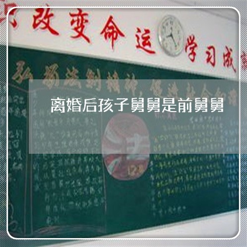 离婚后孩子舅舅是前舅舅/2023111794957