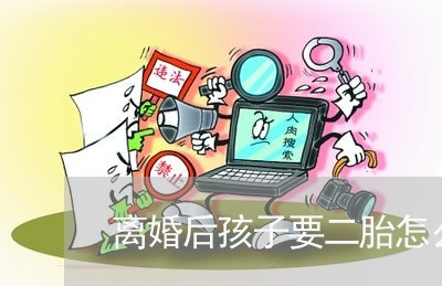 离婚后孩子要二胎怎么办/2023111786838