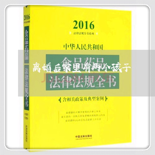 离婚后家里有两个孩子/2023111740494