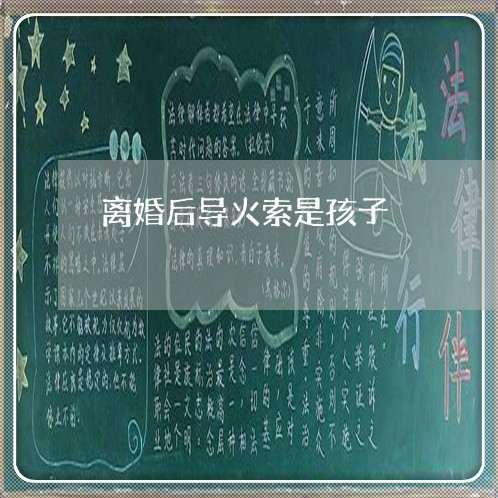 离婚后导火索是孩子/2023111705927