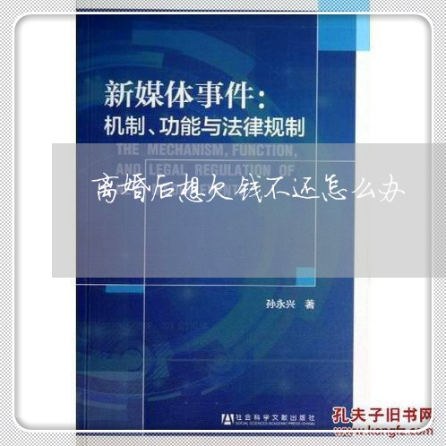 离婚后想欠钱不还怎么办/2023092761847