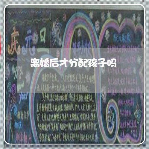 离婚后才分配孩子吗/2023110283926