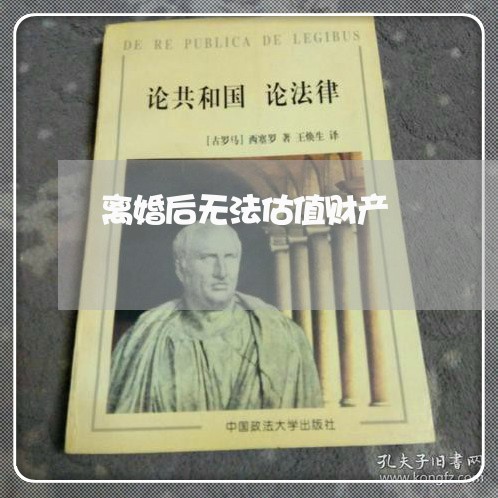 离婚后无法估值财产/2023110945946