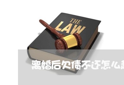 离婚后欠债不还怎么起诉/2023111096241