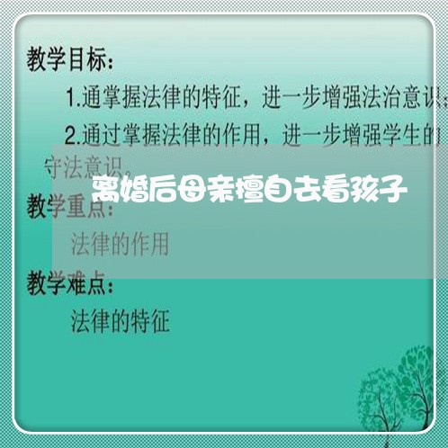 离婚后母亲擅自去看孩子/2023111740392