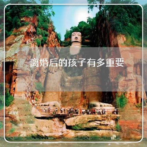 离婚后的孩子有多重要/2023111705068