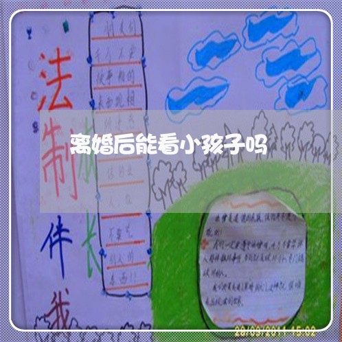 离婚后能看小孩子吗/2023111734158