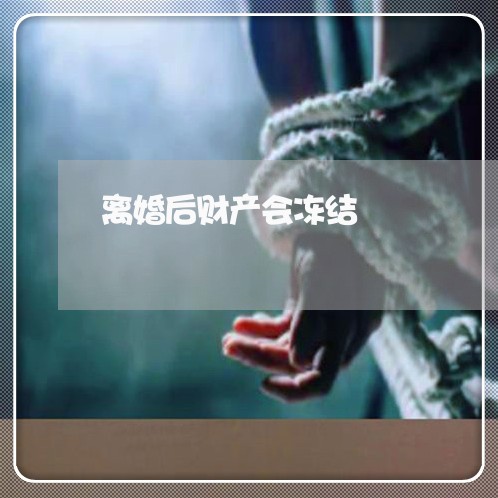 离婚后财产会冻结/2023100195925