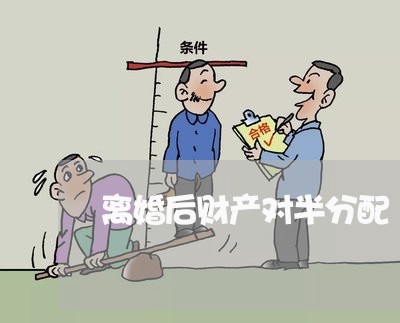 离婚后财产对半分配/2023110999583