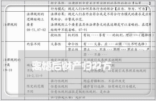 离婚后财产归双方/2023100275938