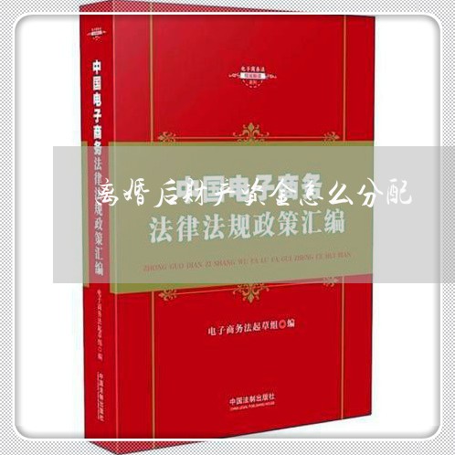 离婚后财产资金怎么分配/2023111741371