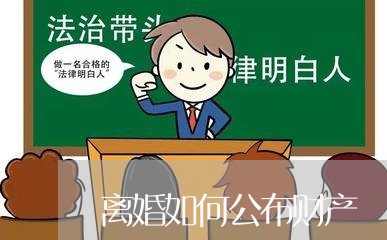 离婚如何公布财产/2023100195716