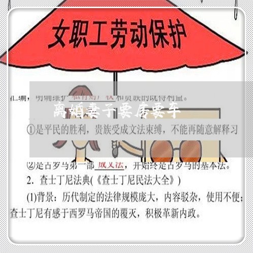 离婚妻子要房要车/2023092306048