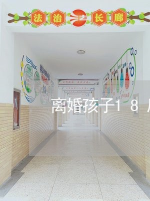 离婚孩子18后/2023090589503