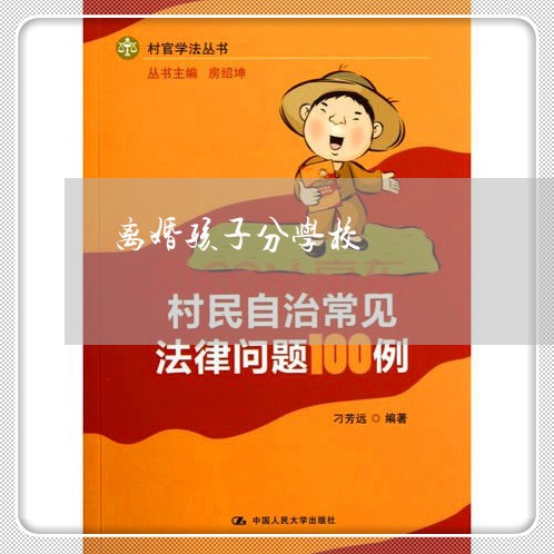 离婚孩子分学校/2023121546481