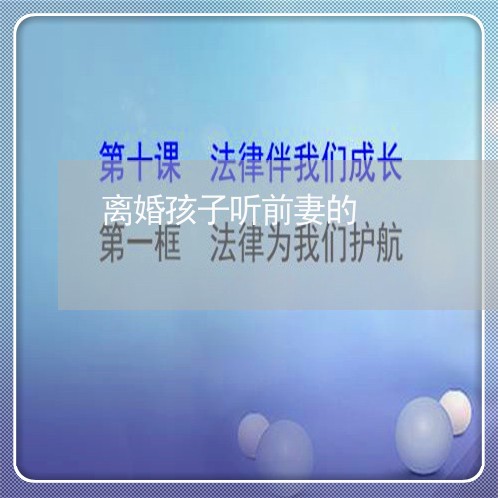 离婚孩子听前妻的/2023092862825