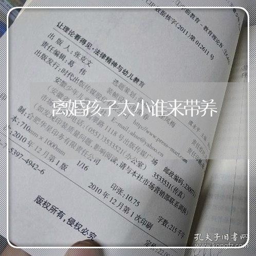 离婚孩子太小谁来带养/2023111608059