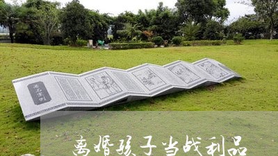 离婚孩子当战利品/2023111640271