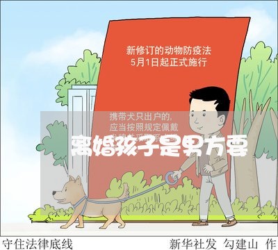 离婚孩子是男方要/2023092842514