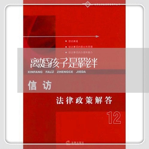 离婚孩子是羁绊/2023121680382