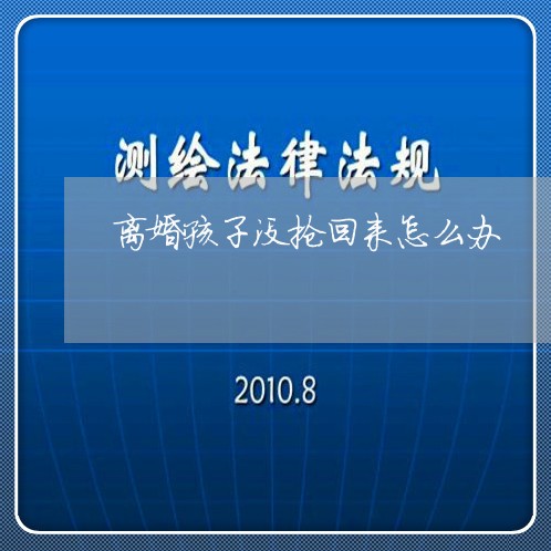 离婚孩子没抢回来怎么办/2023111604049