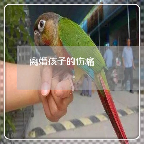 离婚孩子的伤痛/2023121706128