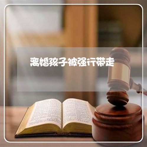 离婚孩子被强行带走/2023111657150