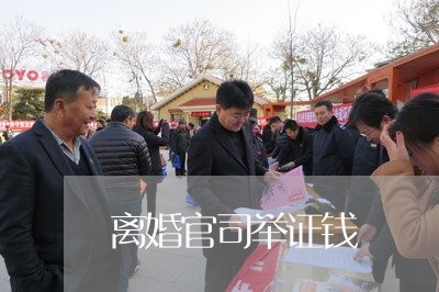 离婚官司举证钱/2023121541695