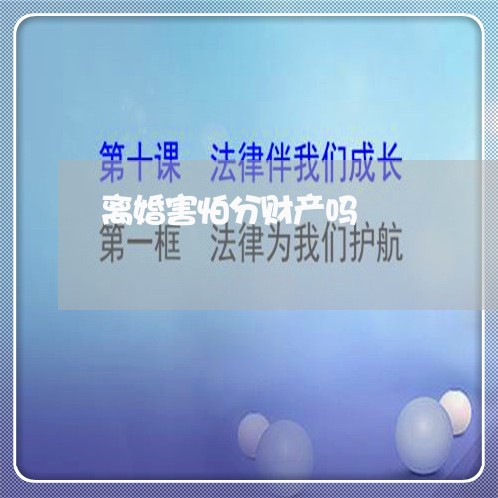 离婚害怕分财产吗/2023111606158