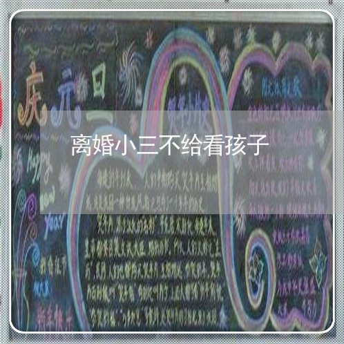 离婚小三不给看孩子/2023110501837